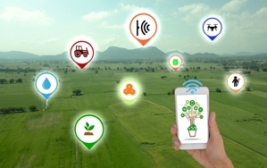 Как IoT-роутеры Robustel повышают автоматизацию в агрокомплексе