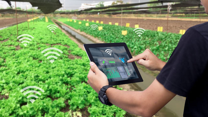 IoT (интернет вещей) в сельском хозяйстве