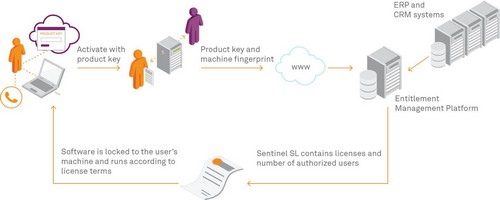 Sentinel SL Activation